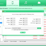 Tenorshare iPhone Data Recovery Output Format