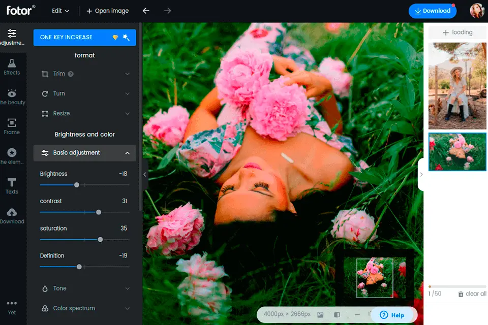 Fotor covers all online photo editing tools