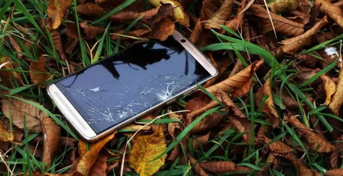 Cracked iPhone lost in the woods