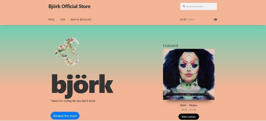 Screen capture of Bjork's WordPress eCommerce site designed to sell.