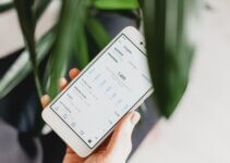 Person using smartphone to check their Instagram activity and insights